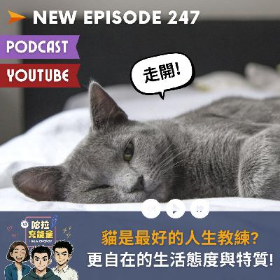EP247-貓是最好的人生教練? 更自在的生活態度與特質!