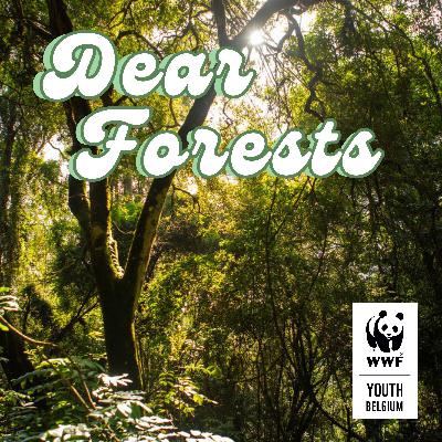 Episode 1: What is deforestation?