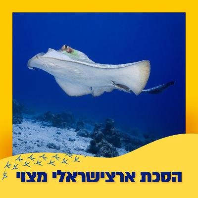 טריגונים