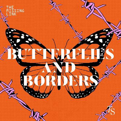Butterflies and Borders