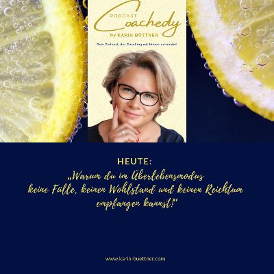 #167 – "WARUM DU IM ÜBERLEBENSMODUS KEINE FÜLLE, KEINEN WOHLSTAND UND KEINEN REICHTUM EMPFANGEN KANNST!" #167 – "WARUM DU IM ÜBERLEBENSMODUS KEINE FÜLLE, KEINEN WOHLSTAND UND KEINEN REICHTUM EMPFANGEN KANNST!"