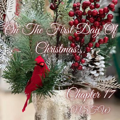 On The First Day Of Christmas... [A Drarry Podfic] Chapter 17 NSFW
