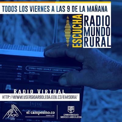 Radio Mundo Rural: Se evidencia el alza en los precios de la canasta familiar