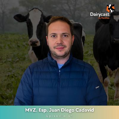 #54 - Podología bovina: ¿Estás optimizando el bienestar y la productividad? - MVZ. Esp. Juan Diego Cadavid #54 - Podología bovina: ¿Estás optimizando el bienestar y la productividad? - MVZ. Esp. Juan Diego Cadavid