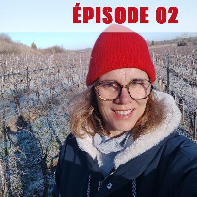 Épisode 02 - Perrine : devenir vigneronne à 40 ans