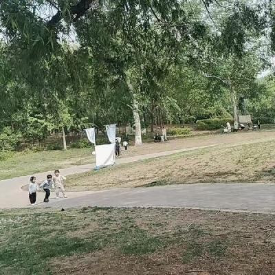 20250425小孩子说“死”（爸爸妈妈电话录音）