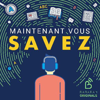 Maintenant Vous Savez lance sa newsletter sur Kessel !
