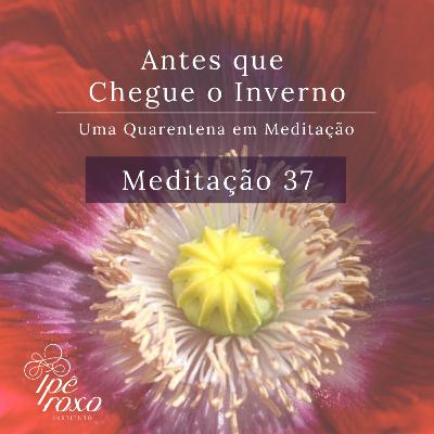 Meditação 37 - Ciclo vida-morte-vida