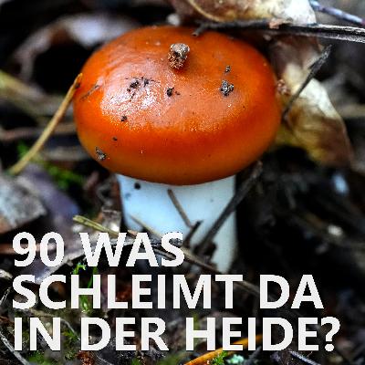 #90 Was schleimt da in der Heide?