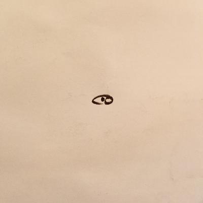 Direct Experience Direct Experience