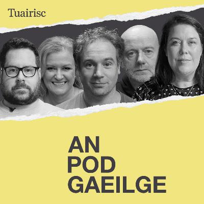 Cé hé Gael na bliana? Buaicphointí na Gaeilge in 2026 roghnaithe le cabhair ó ghiúiré an Antartaigh