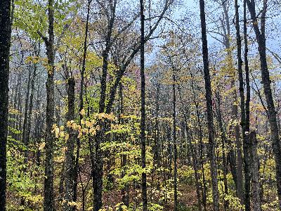 Season 5, Episode 10- Autumn Playlists