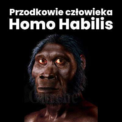 Początki człowieka: Homo Habilis