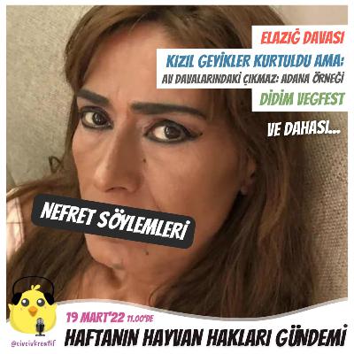 Haftanın Hayvan Hakları Gündemi | 19 Mart 2022 - Bölüm 12