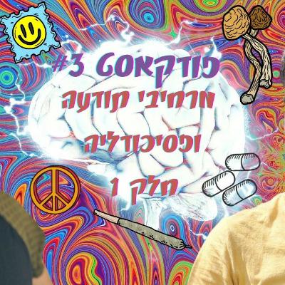 #5 מרחיבי תודעה ופסיכדליים חלק 1 - עם אנדריי דוד לימר