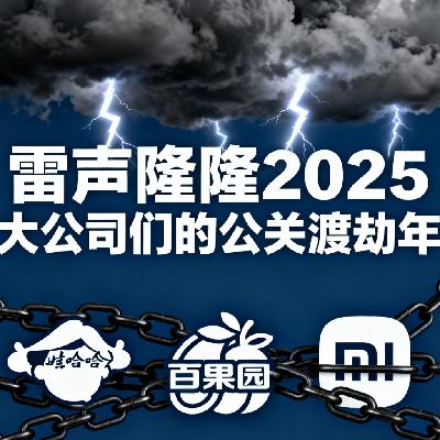雷声隆隆2025 大公司们的公关“渡劫年”