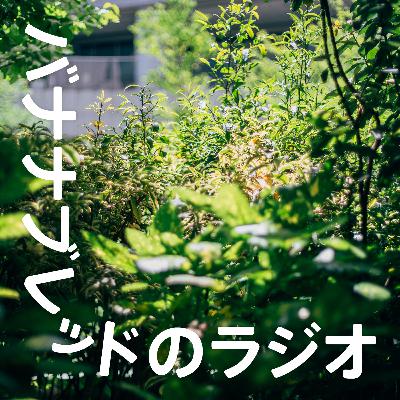 2023年11月号