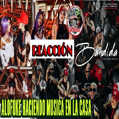 Alofoke Capitalizando La Casa Para Hacer Música Con Los Integrantes || TODO CALCULADO