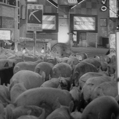 Criterion Creeps Episode 420: Pigs and Battleships