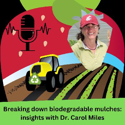 Breaking down biodegradable mulches: insights with Dr. Carol Miles