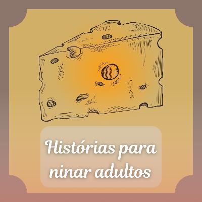 A forma segue a função