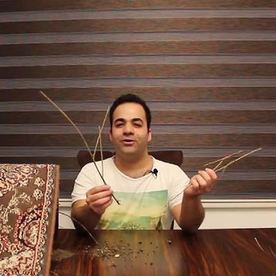 درسی از پرندگان و شکل گیری اهداف | علی خلیلی فر