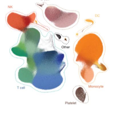 Multi-omic profiling reveals age-related immune dynamics in healthy adults