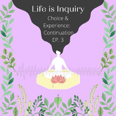 Choice & Experience: Continuation