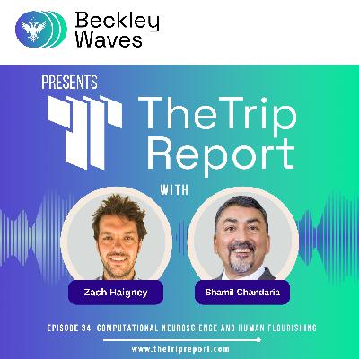 #34 Shamil Chandaria: Computational Neuroscience and Human Flourishing #34 Shamil Chandaria: Computational Neuroscience and Human Flourishing