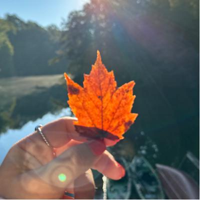 Coincidences be Coincidenting