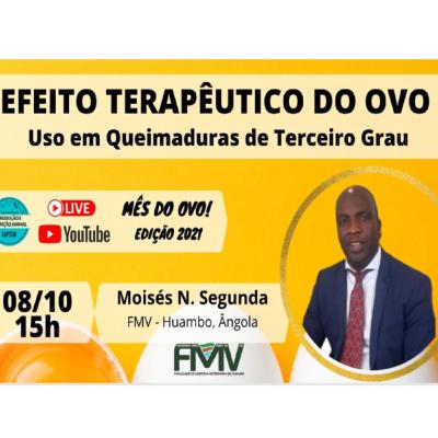 Efeito Terapêutico do Ovo | Uso em queimaduras de terceiro grau - Mês do Ovo
