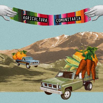 6.- Agricultura Norteña Comunitaria