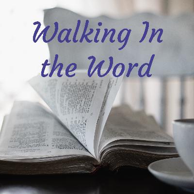 Scripture reading from Luke 2:1-21 Scripture reading from Luke 2:1-21