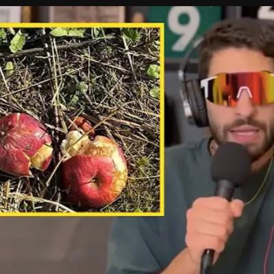 298 - WOPs in the Apple Orchard