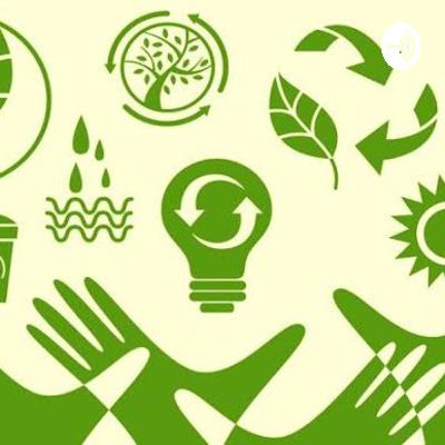 Salinas Maragogi, do empreendimento aos impactos ambientais e sociais.