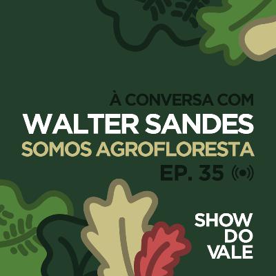 Ep.35 - À conversa com Walter Sandes do Somos Agrofloresta Ep.35 - À conversa com Walter Sandes do Somos Agrofloresta