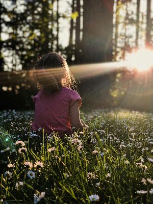 🕊️ The Quiet Hour | On Surrender 🕊️ The Quiet Hour | On Surrender