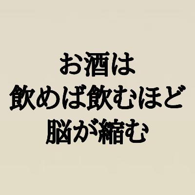 お酒を飲むほど「脳」が縮む