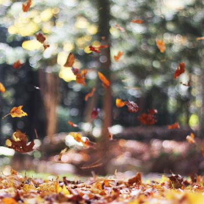 Reaktivität abschwächen und im Frieden sein - Teil 1