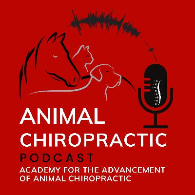 From Construction to Chiropractic: A Unique Journey Featuring Dr. Joren Whitley | E5