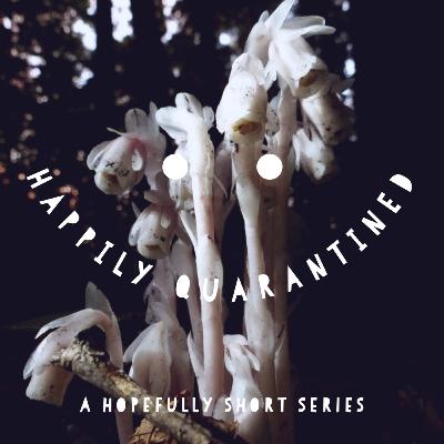 Introducing...Happily Quarantined: a hopefully short series
