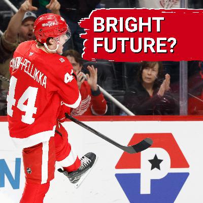 Bright future still ahead? The Athletic ranks the Red Wings prospect pool 4th — But does it have top end talent? Bright future still ahead? The Athletic ranks the Red Wings prospect pool 4th — But does it have top end talent?