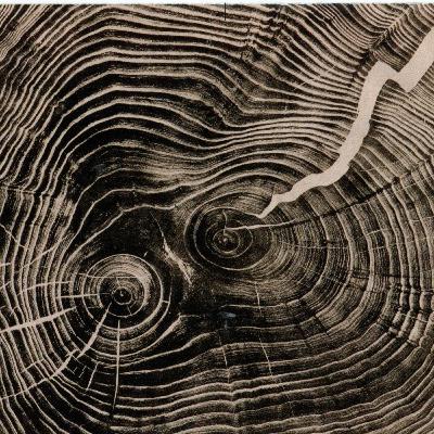 Urban Sustainability featuring Dr. Kevin Manaugh, Dr. Julia Freeman, and Dr. Marieve Isabel Urban Sustainability featuring Dr. Kevin Manaugh, Dr. Julia Freeman, and Dr. Marieve Isabel