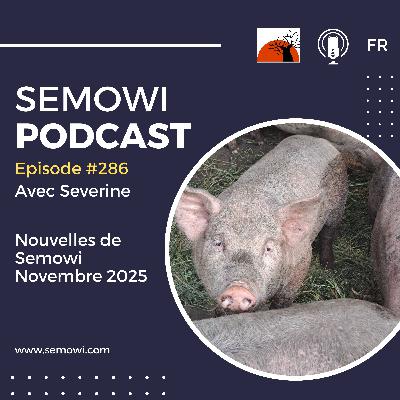 Nouvelles de Semowi - Novembre 2025