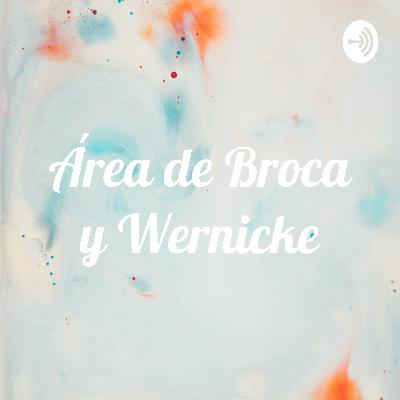 Área de Broca y Wernicke