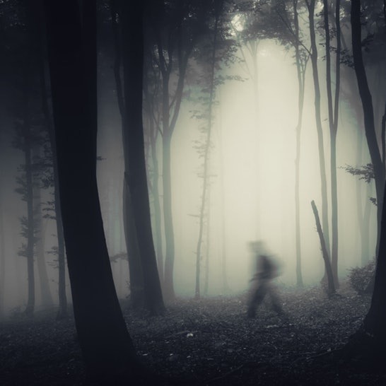 #live The Paranormal Chat