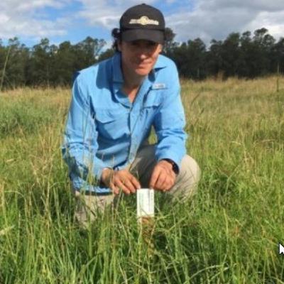 El ecosistema "Campo Natural", oportunidad para aumentar la producción ganadera y cuidar el medioambiente El ecosistema "Campo Natural", oportunidad para aumentar la producción ganadera y cuidar el medioambiente