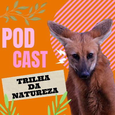 Especial 30 Anos Trilha da Natureza: Entrevista Com a professora Géria Montanar