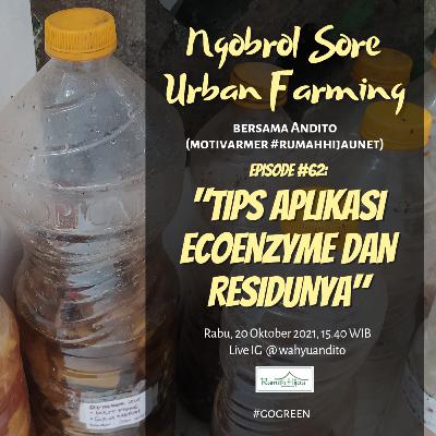 Tips Aplikasi Ecoenzyme dan Residunya 🌱 (Ngobrol Sore Urban Farming eps. #62)