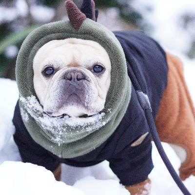 BUHIDAって何？名前の由来と、フレブルから始まった話｜#1